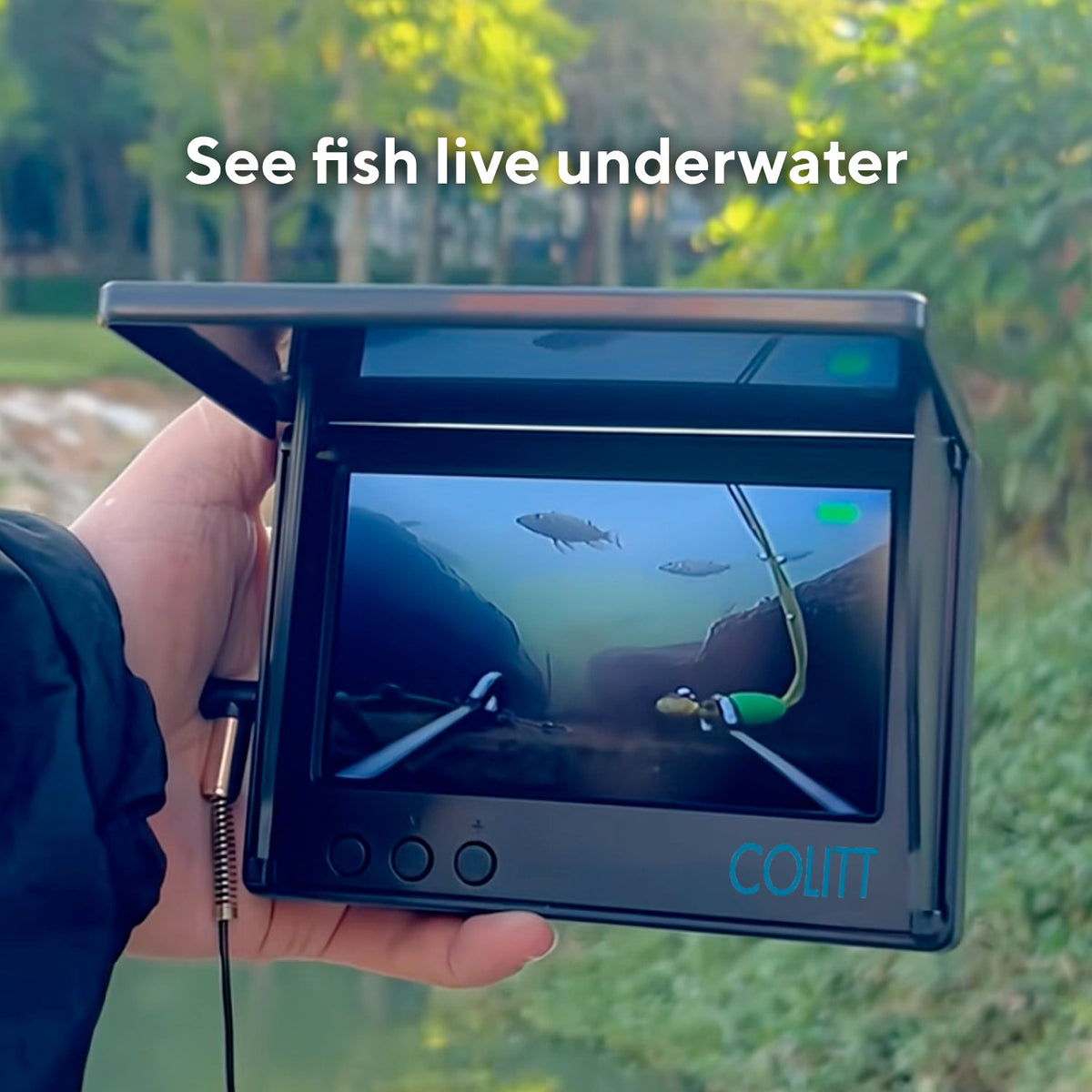 Live underwater view of fish on the monitor