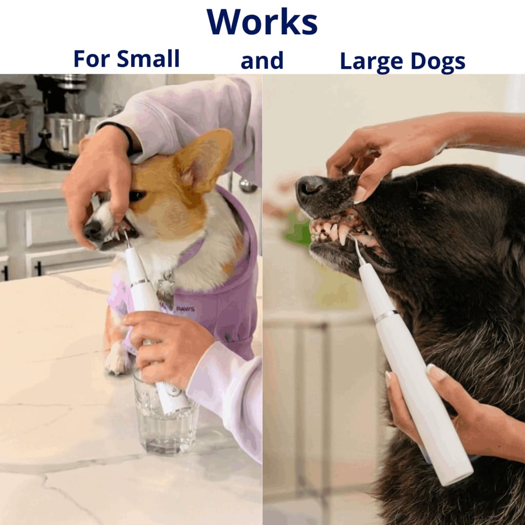 Canivet Kit - Silent Ultrasonic Plaque & Tartar Remover For Small Breeds