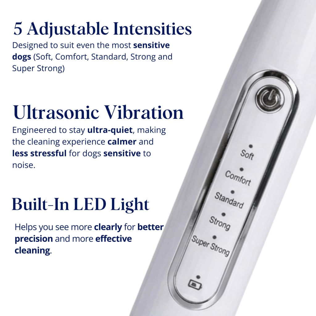 Canivet Kit - Silent Ultrasonic Plaque & Tartar Remover For Small Breeds