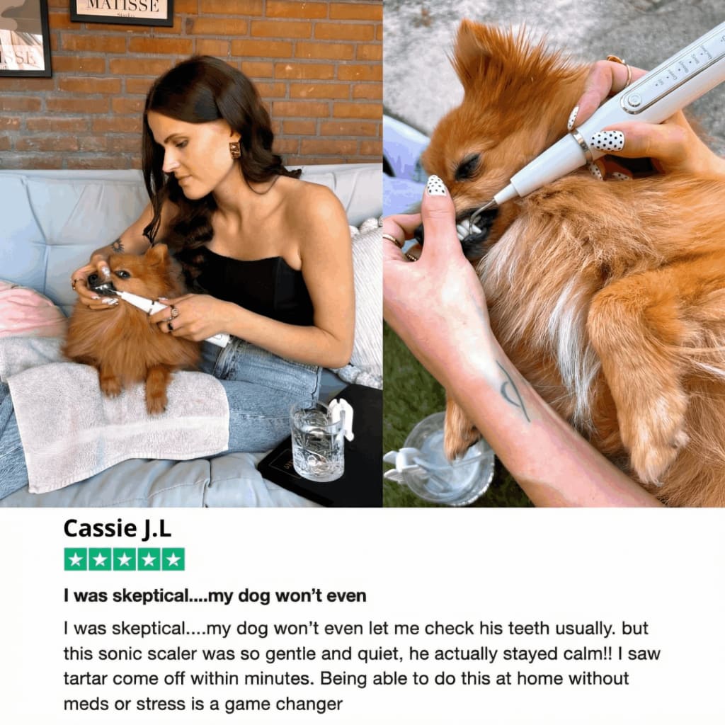 Canivet Kit - Silent Ultrasonic Plaque & Tartar Remover For Small Breeds