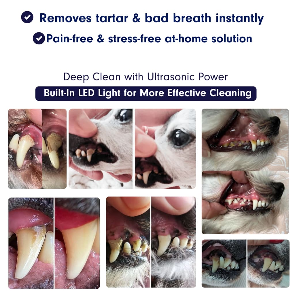 Canivet Kit - Silent Ultrasonic Plaque & Tartar Remover For Small Breeds