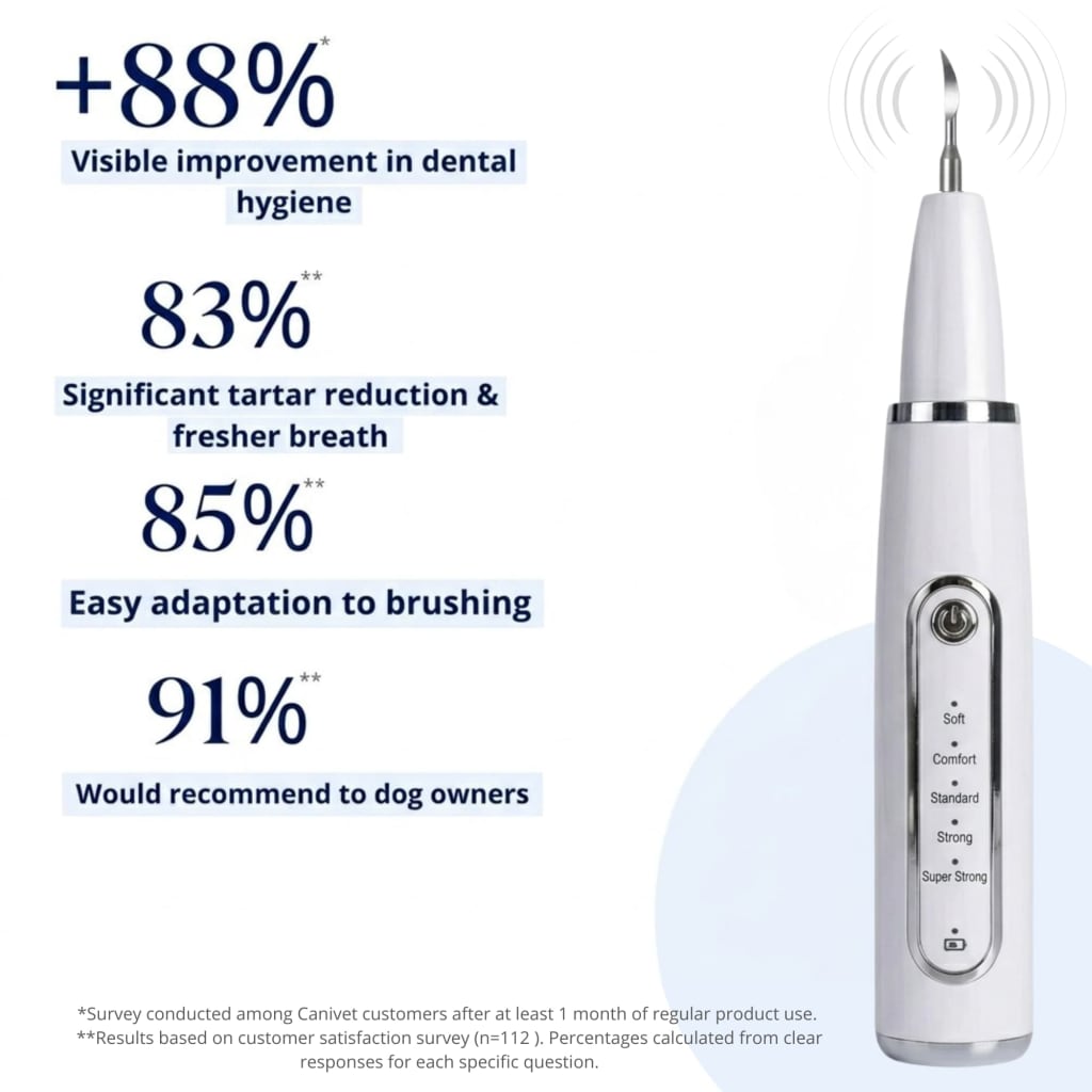 Canivet Kit - Silent Ultrasonic Plaque & Tartar Remover For Small Breeds