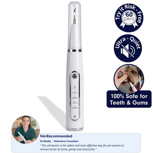 Canivet Kit - Silent Ultrasonic Plaque & Tartar Remover For Small Breeds
