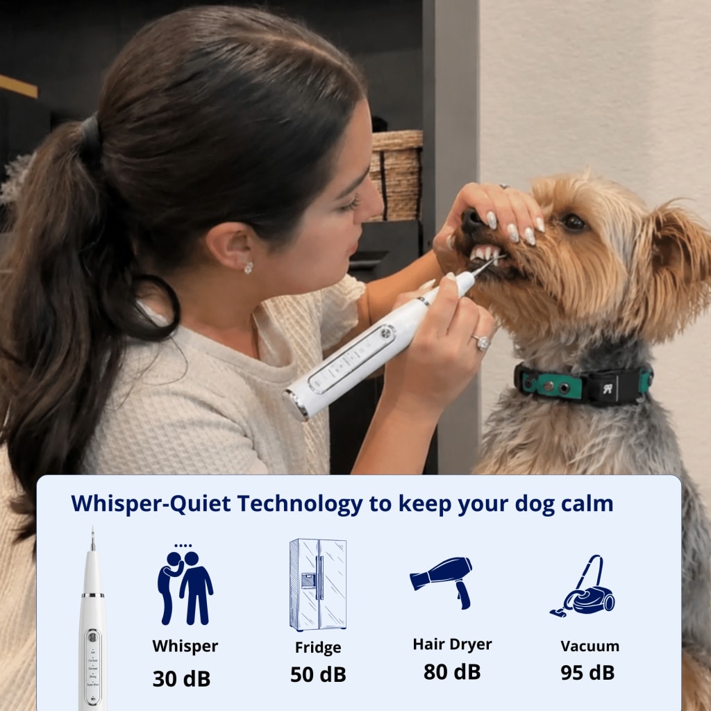 Canivet Kit - Silent Ultrasonic Plaque & Tartar Remover For Small Breeds