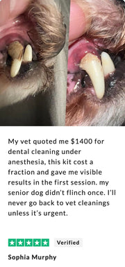 Canivet Kit - Silent Ultrasonic Plaque & Tartar Remover For Small Breeds