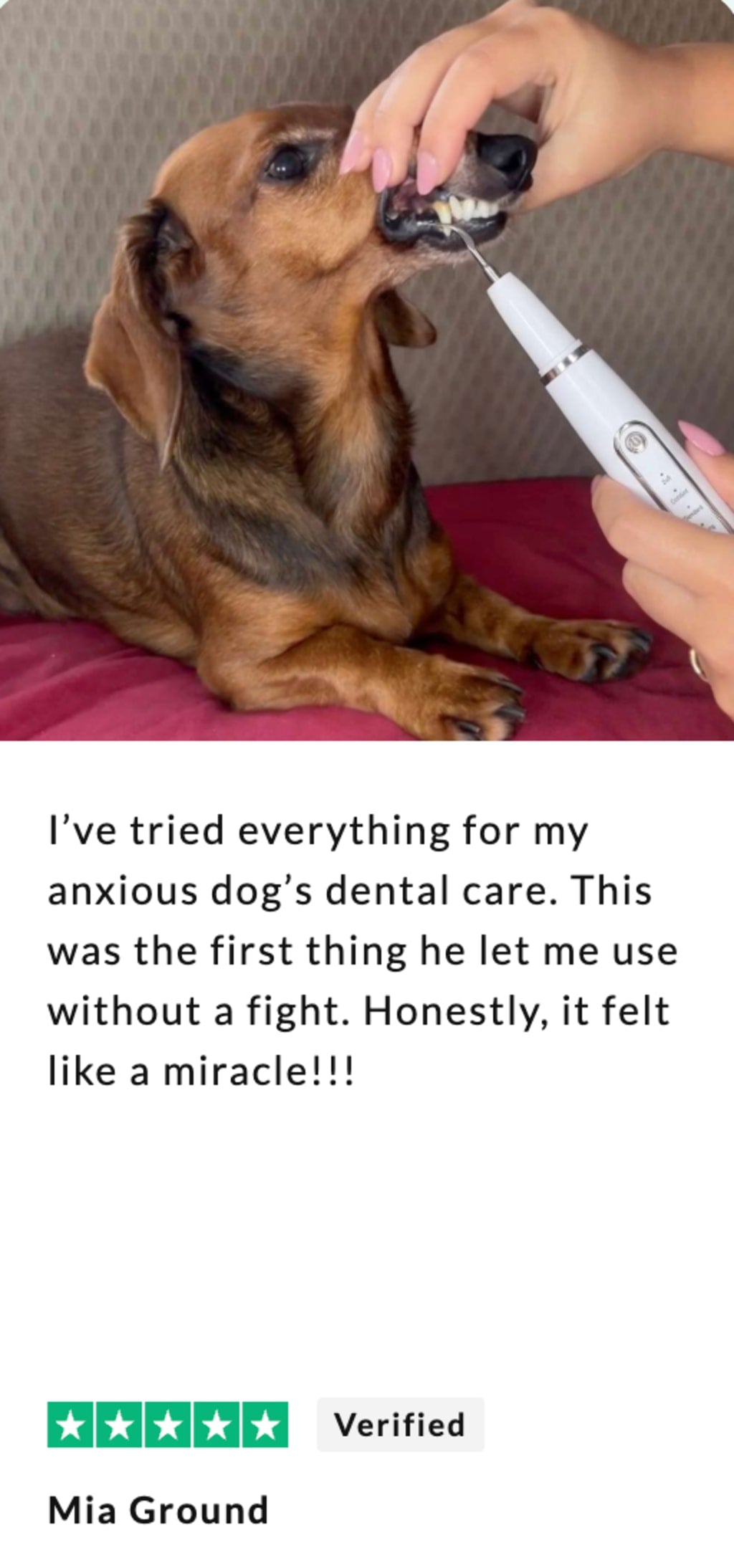 Canivet Kit - Silent Ultrasonic Plaque & Tartar Remover For Small Breeds