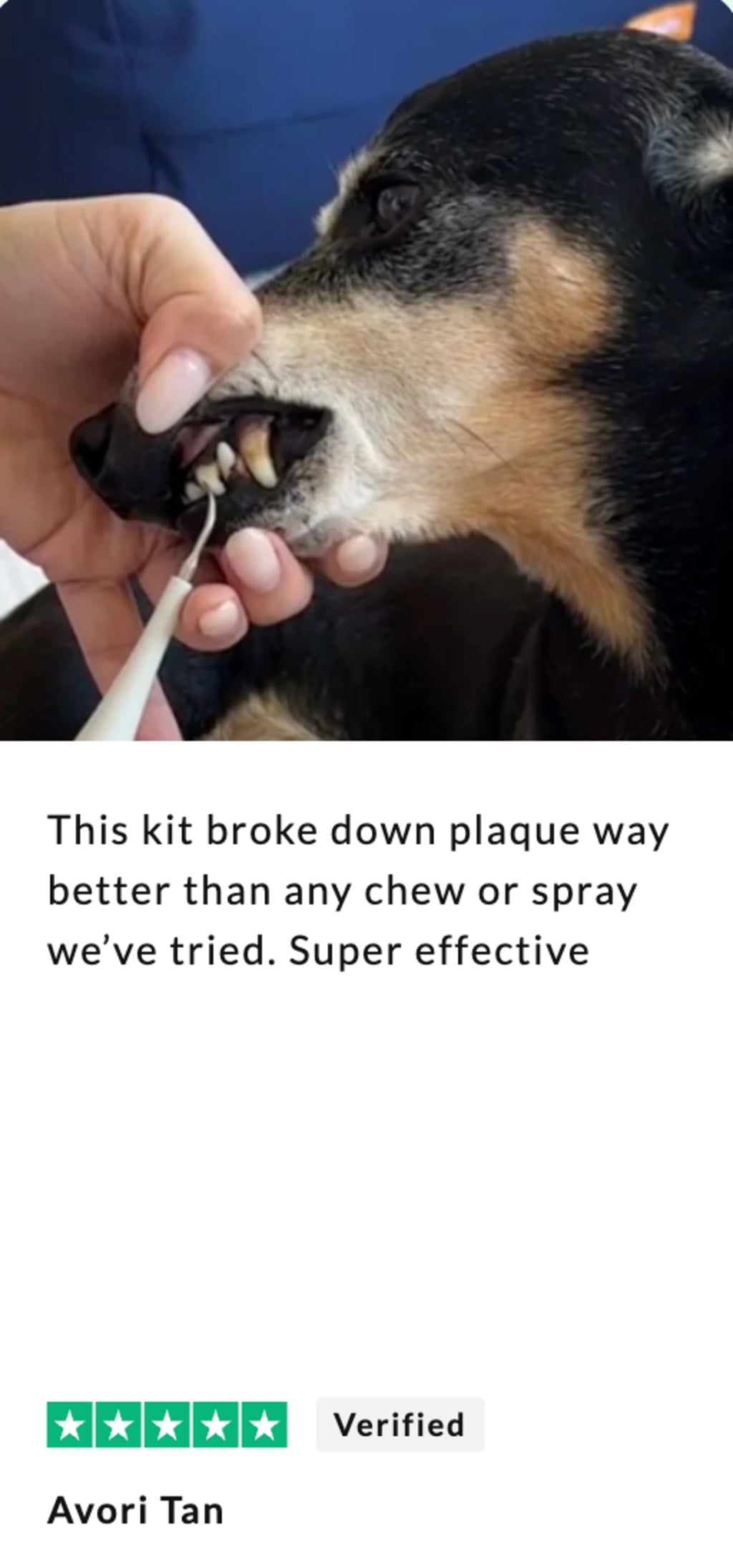 Canivet Kit - Silent Ultrasonic Plaque & Tartar Remover For Small Breeds