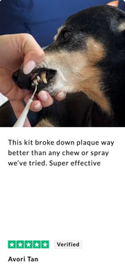 Canivet Kit - Silent Ultrasonic Plaque & Tartar Remover For Small Breeds